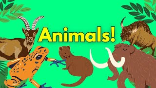 Animal names for toddlers, Animal names for kids, Wild Animals for Kids, Animal names for babies