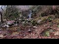 360°video hosswa waterfalls in tokyo hinohara village【檜原村 払沢の滝】