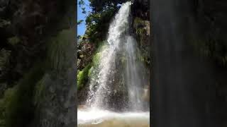 Manikyadhara Falls #ytshorts #youtube