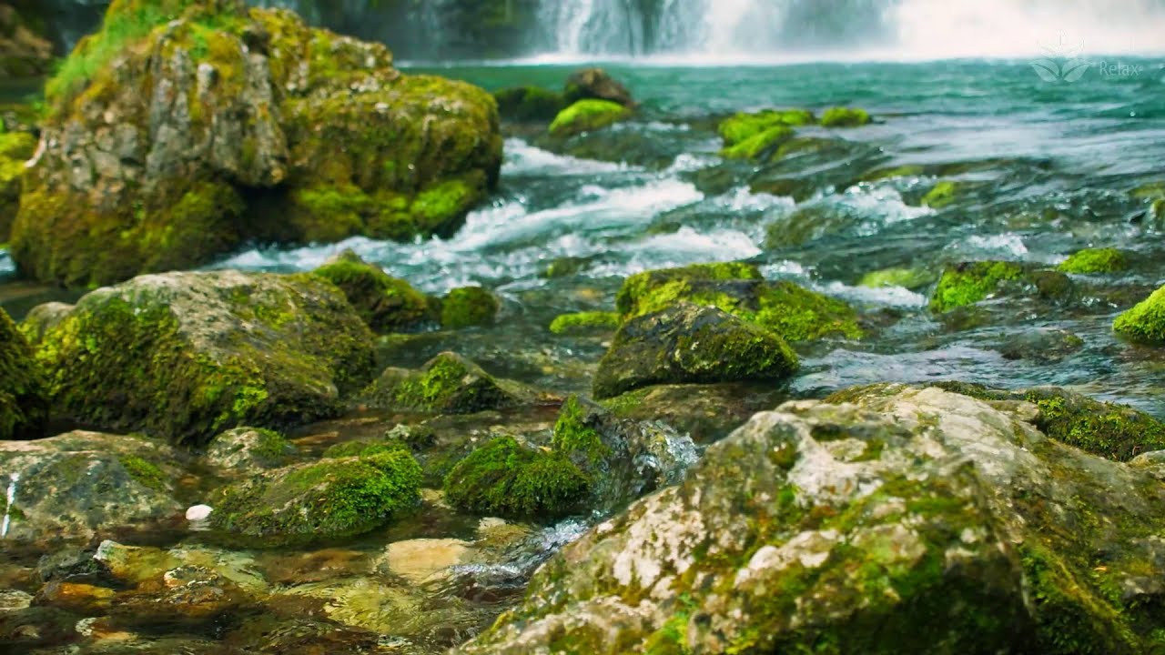 Relaxing River Sounds To Help You Sleep Youtube