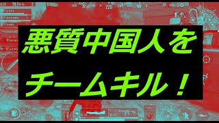 【pubg_mobile】中国人をキルしてみた！【チームキル】