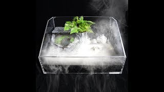 How About This Wonderful View? | Aquarium Mist Maker - from senzeal.com