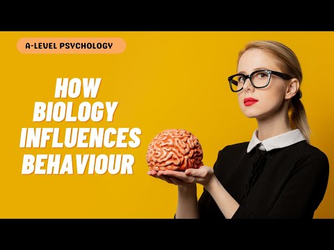 What are the weaknesses of the biological approach?