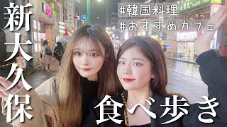 新大久保で夜の食べ歩きツアー！やっぱり韓国料理最高。【vlog】