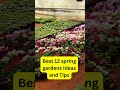 Best 12 Spring Garden Ideas and Tips for a Stunning Garden