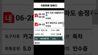 더쎈 매출공개 2.5톤 3.5톤 5톤 영업용넘버 화물 용달 카고 윙바디 트럭커 냉장윙 냉동윙