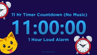 11 Hour Timer Countdown (No Music) + 1 Hour Loud Alarm