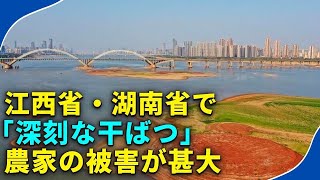 江西省・湖南省で「深刻な干ばつ」、農家の被害が甚大