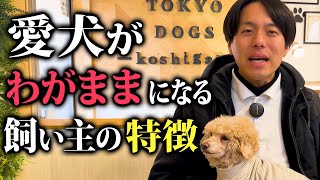 愛犬が言うことを聞かなくなる飼い主の特徴5選