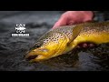 Catching BIG Brown Trout - Euro Nymphing in Wild Spring Weather-  Code Breaker Angler