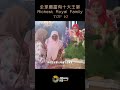 全球最富有十大王室 the richest royal family top10 文莱王室 royal family of brunei 世界 贵族 血统 资源 世袭 富裕 中东