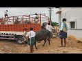 pattikonda black cart cattils loads