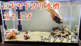 【アクアリウム】巨大ヤドカリ水槽のレイアウトしてみた【海水魚水槽立ち上げ】