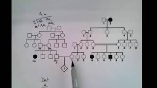 Advanced Pedigree Analysis