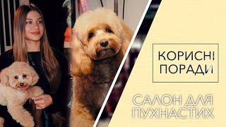 Догляд за домашніми улюбленцями #КорисніПоради