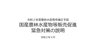 【令和２年度農林水産関係補正予算】国産農林水産物等販売促進緊急対策