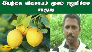 இயற்கை விவசாயம் மூலம் எலுமிச்சை சாகுபடி | Organic farming | Cultivation of lemon