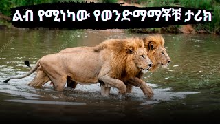 እውነተኛ ታሪክ፡ መከራ የተቀበሉት ወንድምማማቾች አስገራሚ ታሪክ.