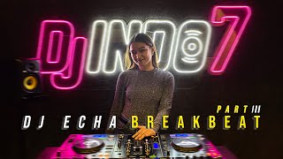 DJ BREAKBEAT HOT PARTY MIX 2022 - DJ ECHA