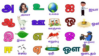 குழந்தைகளுக்கான முதல் அடிப்படை தமிழ் எழுத்துக்கள் |learn first basic tamil letters for kids #tamil