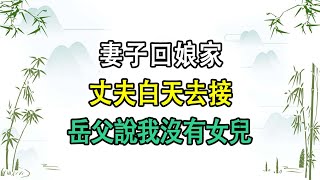 妻子回娘家，丈夫白天去接，岳父說我沒有女兒   民間故事   故事當鋪