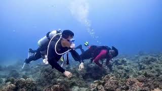 好朋友一起潛水｜小琉球潛潛的民宿・潛水｜無證照、有證照，潛水包棟，快跟我們預約潛水吧！