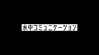 Logosease 水中コミュニケーション