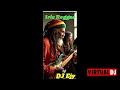 IRIE REGGAE  MIX  DJ EJY  2024