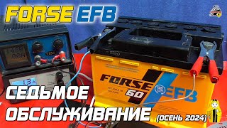 FORSE EFB - СЕДЬМОЕ ОБСЛУЖИВАНИЕ (Осень 2024)