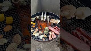 【南房総】オーシャンビューの隠れ家貸別荘で一人BBQ♪