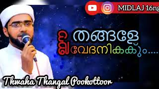 Thwaha thangal /തങ്ങളേ ഈ വേദനിക്കും............