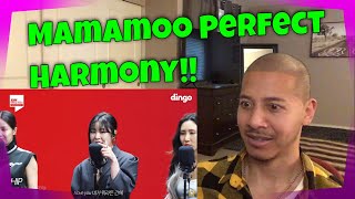 MAMAMOO's KILLING VOICE with perfect HARMONY/Egoistic, HIP, Dinga, AYAs (Reaction)