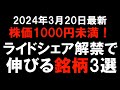 【睡眠用・2024年4月11日作成】投資放浪記　直近動画まとめ（bgmなし）