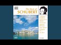 4 Impromptus, Op. 90, D. 899: Impromptu No. 3 in G-Flat Major, Op. 90/2, D. 899, No. 3