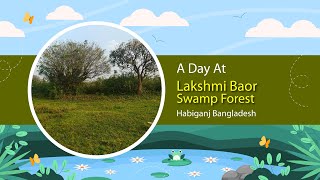 A Day At Lakshmi Baor Swamp Forest || লক্ষ্মী বাওর জলাবনে একদিন