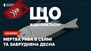 Мертва риба в Сеймі та забруднена Десна┃\