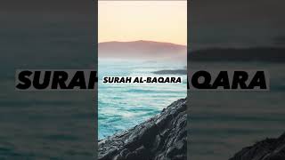 SURAH AL-BAQARA |Ayaat 85+86| Recitation by Mishary Rashid Alafasy | Islam The Heavenly Path