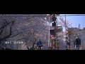 2021東京中野の桜