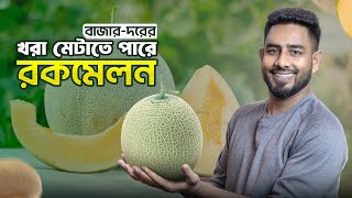 ৮০ হাজার নয়, বিঘায় মাত্র ৪০ হাজারে সম্ভব রকমেলন চাষ !