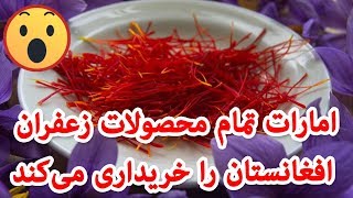 امارات تمام محصولات زعفران افغانستان را خریداری می‌کند