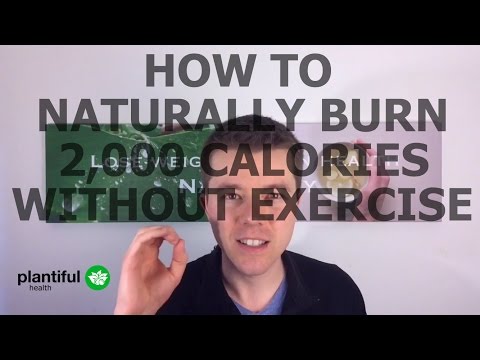 How To Naturally Burn 2,000 Calories Without Exercise How To Naturally Burn 2,000 Calories Without Exercise