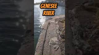 GENESEE RIVER MAGNET FISHING! From Stannards NY to the Mouth of the River in Rochester! Lake Ontario