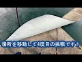 【保田漁港】餌無しネンブツダイ釣りタイムアタック【小ネタ動画】