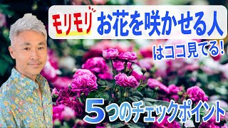 モリモリお花を咲かせる人が見てる5つのチェックポイント