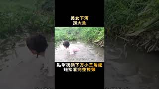 越南美女下河抓魚，不怕髒也不怕累，一小時收獲相當不錯！#shorts