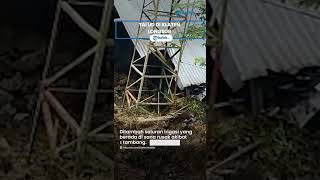 Talud di Kabupaten Klaten Longsor, Bupati Klaten Sri Mulyani Sampai Tegas Tutup Akses Area Tambang