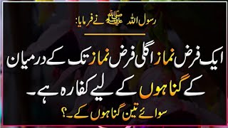 Hadith On Gunah | Hadees Pak | Hades | Islamic Urdu PAKISTAN |