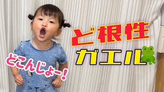 【ど根性ガエル】2歳9ヶ月 村方乃々佳　노노카