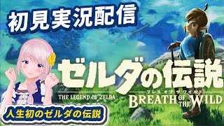 #10【ゼルダの伝説BotW】完全初見！こっとんの冒険が今始まる！朝活☀【The Legend of Zelda: Breath of the Wild】