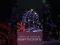 灯展 lightshow coquitlam newyear 2022 christmas lafarge lake free vancouver 温哥华 节日 圣诞 新年